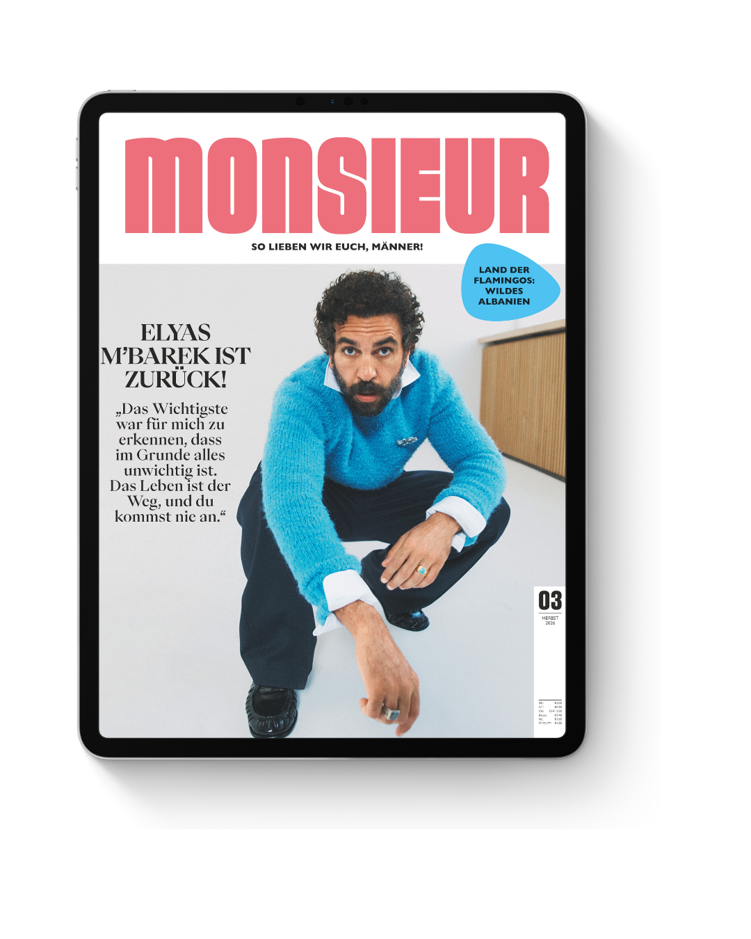 Monsieur_Epaper_im_iPad.png